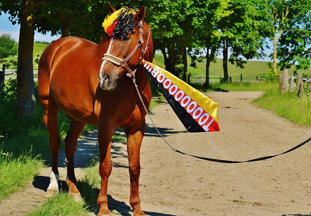 中的重要地 中的重要地