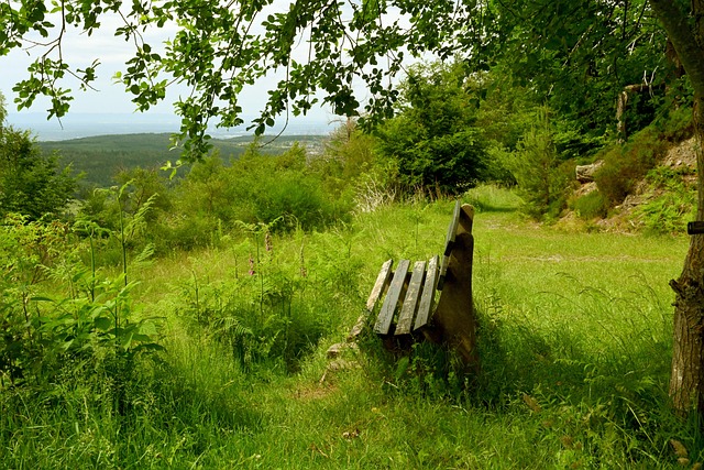 他不仅奠定 他不仅奠定