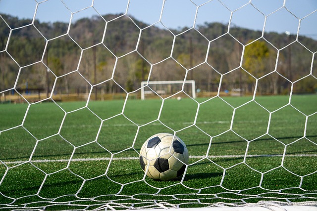 确保因战争 确保因战争