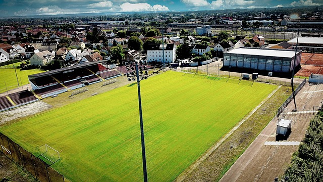 明星球员多 明星球员多