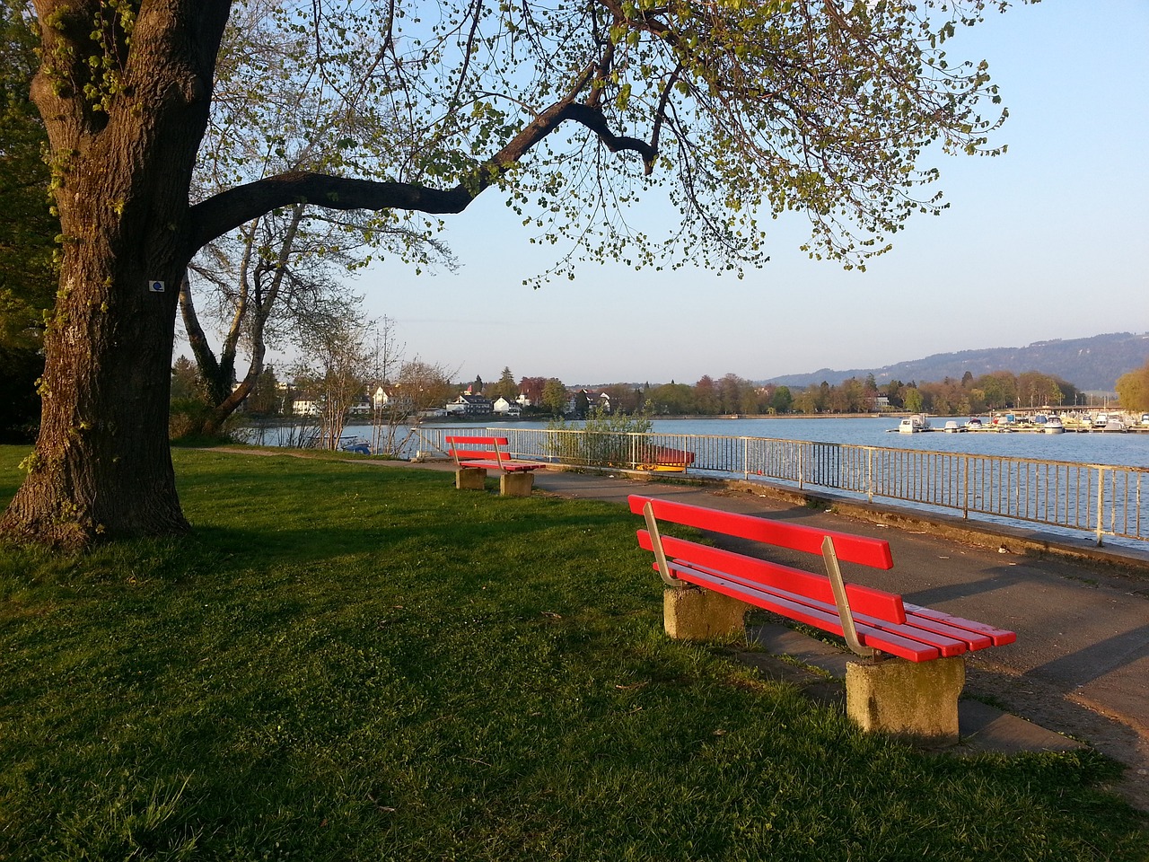 响了比赛走 响了比赛走