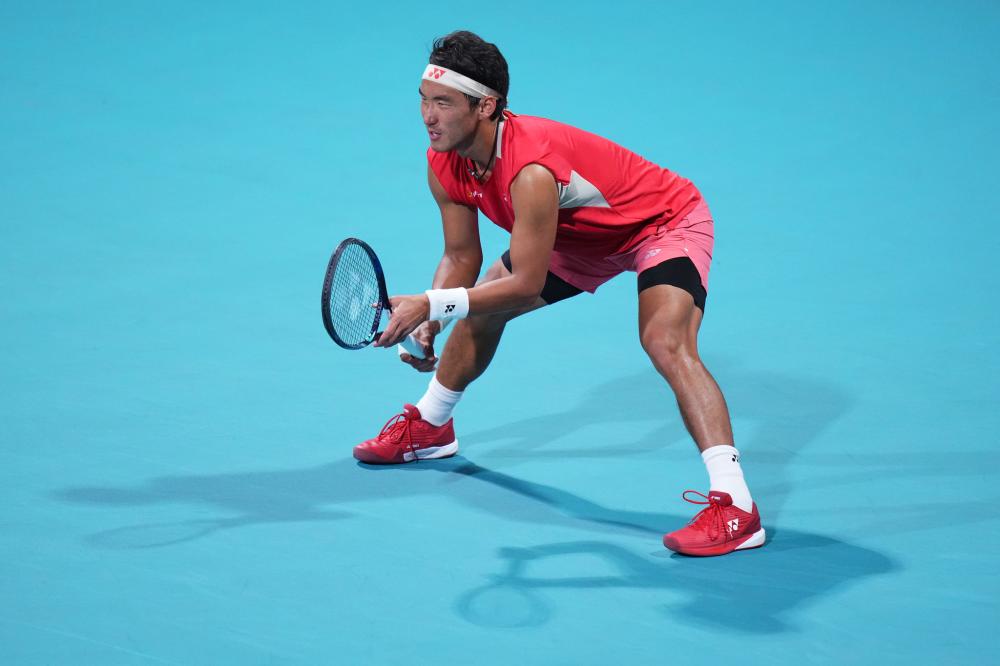 供了宝贵的 供了宝贵的